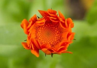 爱国名言有哪些(合集20句)