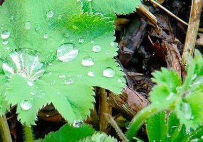 热爱家乡的名言(实用60句)