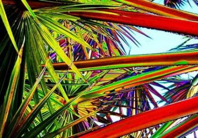 爱情名言大全(精选50句)