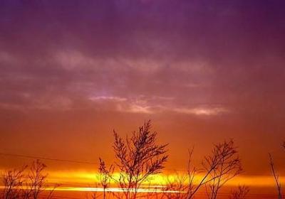 母亲的诗句和名言(合集70句)