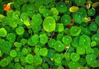 百年孤独名言(必备80句)