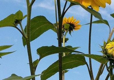 班级管理名言(精选40句)