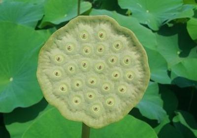 秦时明月片头语录(共100句)