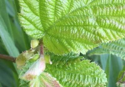 生与死的名言(实用20句)