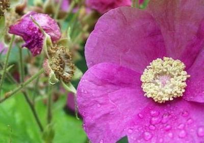 爱情哲理名言(优选50句)