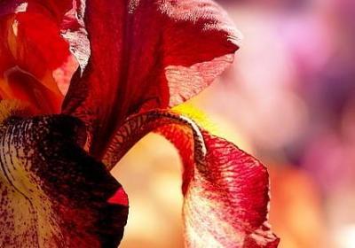 瑞克和莫蒂名言(优选20句)