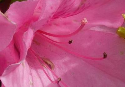 珍惜时间名言(通用60句)