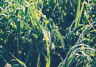 沟通的重要性的名言(共31句)