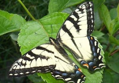 知识重要性的名言(汇总62句)