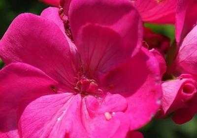 理想与现实的名言(通用20句)