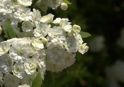 理想信念名言警句(共50句) 理想信念名言警句(共50句)