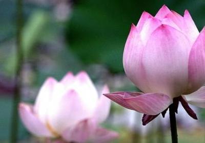 自知之明的名言(通用54句)