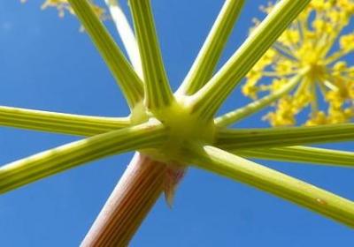 竞选名言(必备60句) 竞选名言(必备60句)