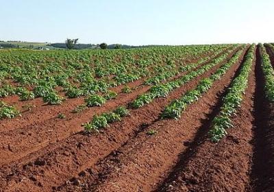 自我介绍的名言(推荐80句) 自我介绍的名言(推荐80句)