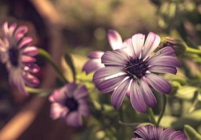 舍生取义的名言(通用30句) 舍生取义的名言(通用30句)