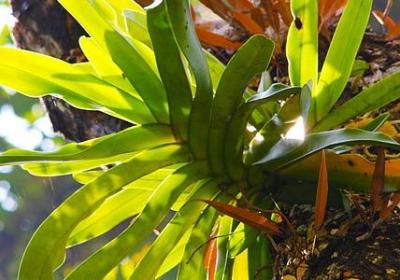 美好的名人名言(实用97句)