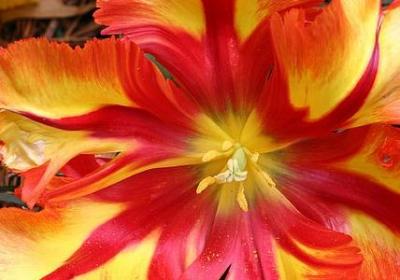 科学名人名言(合集80句)