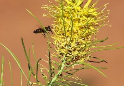 老师名言名句(汇总60句) 老师名言名句(汇总60句)