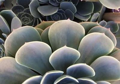 等待的名言警句(热门49句) 等待的名言警句(热门49句)