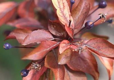 莎士比亚英文名言(精选20句) 莎士比亚英文名言(精选20句)