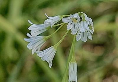 科技的名言警句(通用50句) 科技的名言警句(通用50句)