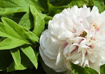 节约用水名言(通用78句) 节约用水名言(通用78句)