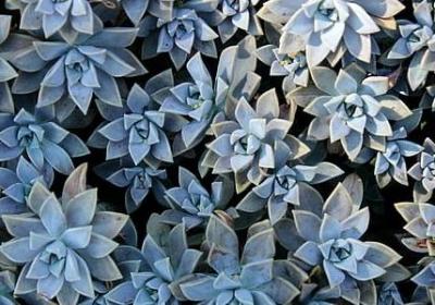 英语名言警句带翻译(实用68句) 英语名言警句带翻译(实用68句)