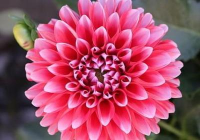 红楼梦的名人名言(共20句) 红楼梦的名人名言(共20句)