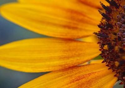 艺术的名言警句(必备80句) 艺术的名言警句(必备80句)