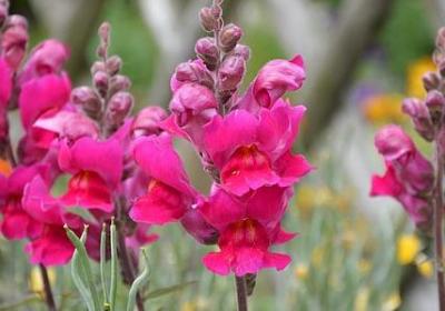 自我介绍名言警句(必备100句) 自我介绍名言警句(必备100句)