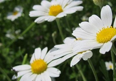 科学精神的名言(汇总50句) 科学精神的名言(汇总50句)