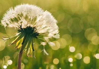 读书的重要性的名言(热门46句) 读书的重要性的名言(热门46句)