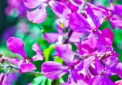 读书方法的名言警句(热门100句) 读书方法的名言警句(热门100句)