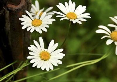 读书的名言名句大全(推荐20句) 读书的名言名句大全(推荐20句)