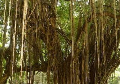 认真学习的名言(通用40句) 认真学习的名言(通用40句)