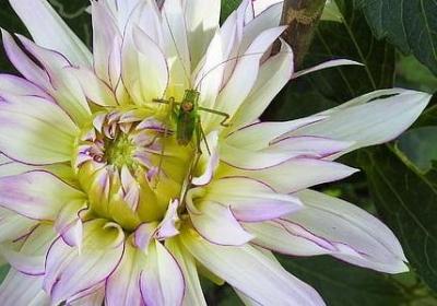 诚信相关的名言(必备40句) 诚信相关的名言(必备40句)