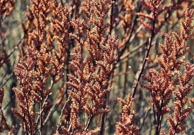 进步的名人名言(热门76句) 进步的名人名言(热门76句)