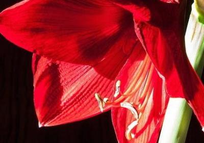 较短的名人名言(热门40句) 较短的名人名言(热门40句)