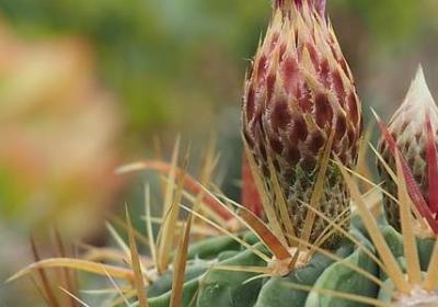 诸葛亮名言警句(汇总50句) 诸葛亮名言警句(汇总50句)