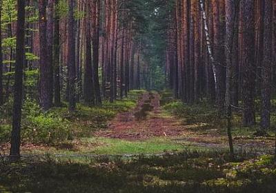 重情重义的名言(共50句) 重情重义的名言(共50句)