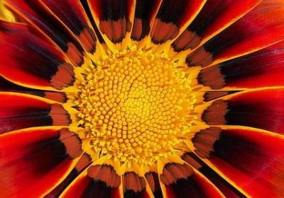 虚心求教的名言(精选70句) 虚心求教的名言(精选70句)