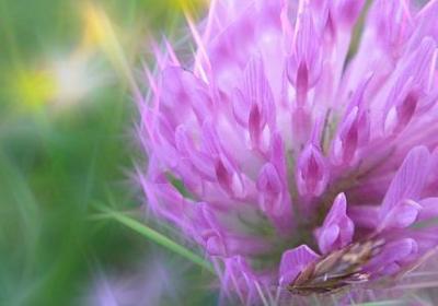 语文摘抄名人名言(精选20句) 语文摘抄名人名言(精选20句)