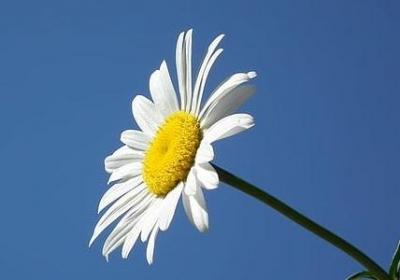 规划的重要性的名言(实用78句) 规划的重要性的名言(实用78句)