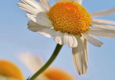 认真的名人名言(合集79句) 认真的名人名言(合集79句)