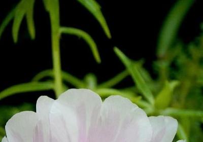 积极向上的名言(优选50句)