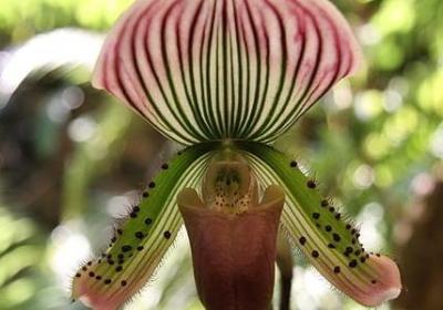 莎士比亚英语名言(优选10句)