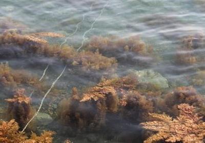 自信的名言警句(共17句)