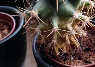 肖申克的救赎名言(热门31句) 肖申克的救赎名言(热门31句)