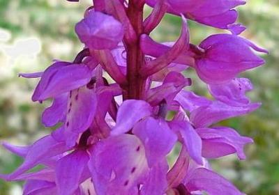 经典名人名言大全摘抄(推荐30句) 经典名人名言大全摘抄(推荐30句)