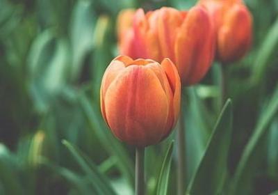 短的名言警句(精选120句)